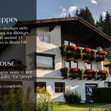 Ferienhaus Auschmiede Hollersbach im Pinzgau Eksteriør billede
